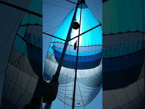 Parasegel Oxley sy-speedy Viko S35