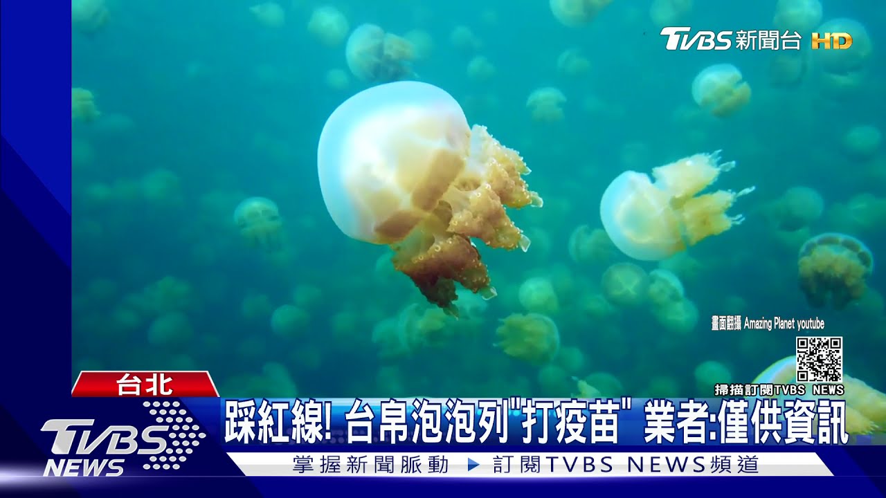 踩紅線!台帛泡泡列「打疫苗」 業者:僅供資訊