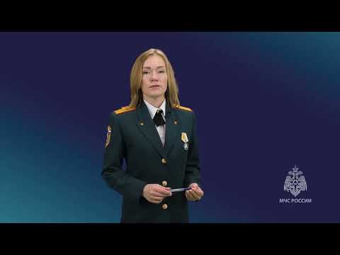 Сводка происшествий / 27.05.2024