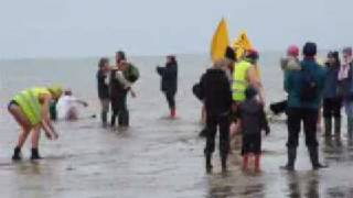 preview picture of video 'Hunstanton Christmas Day Swim 2008'