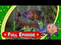 Jay Jay The Jet Plane Snuffy Discovers The Ocean Full Episode