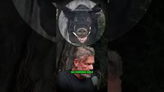A LUTA CONTRA A INVASÃO DOS JAVALIS