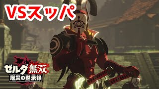 【実況】定年を迎えた父を再びハイラルの大地に放り込むPart18【ゼルダ無双 厄災の黙示録】