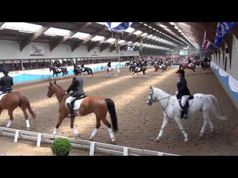 NK carrousel 2016 - De Ware Landruiters