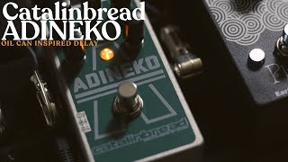 Video thumbnail for Ambient Sketch - Catalinbread Adineko Oil Can Delay by Ambient Endeavors