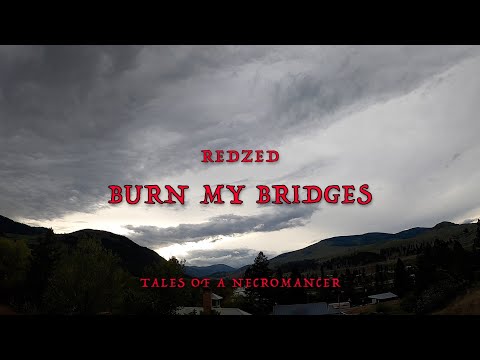 REDZED - BURN MY BRIDGES (Lyrics)