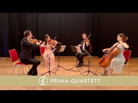 Perfect von Ed Sheeran im Streichquartett-Cover | Prima-Streichquartett