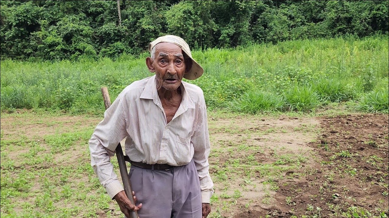 Tião Chava 94 Anos Trabalha Dia Inteiro Na Roça Plantando Milho Feijão Amendoim