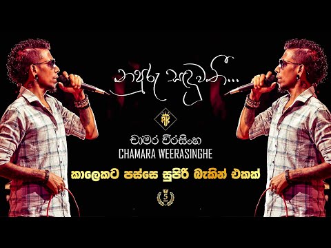 චාමර වීරසිංහ Chamara Weerasinghe | නපුරු සඳවතී... | Flashback Best Backing | AK Music