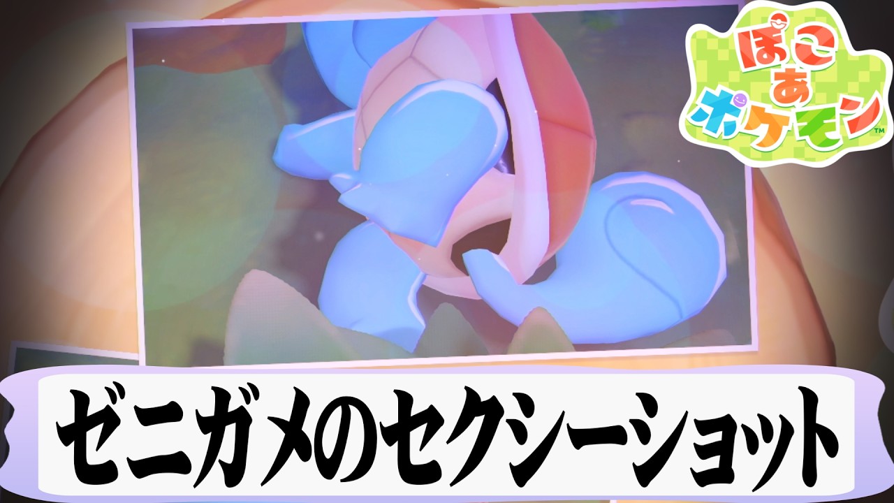 間違ったぽこあポケモンの楽しみ方【ぽこ あ ポケモン】