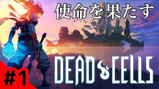 #1【アクション】高貴なゾンビ！エクソイの「Dead Cells」実況！