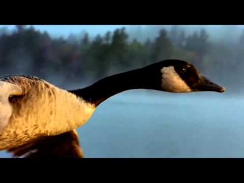 Swilow & Joer van Ray – Mysterious (Miroslav Vrlik Remix )