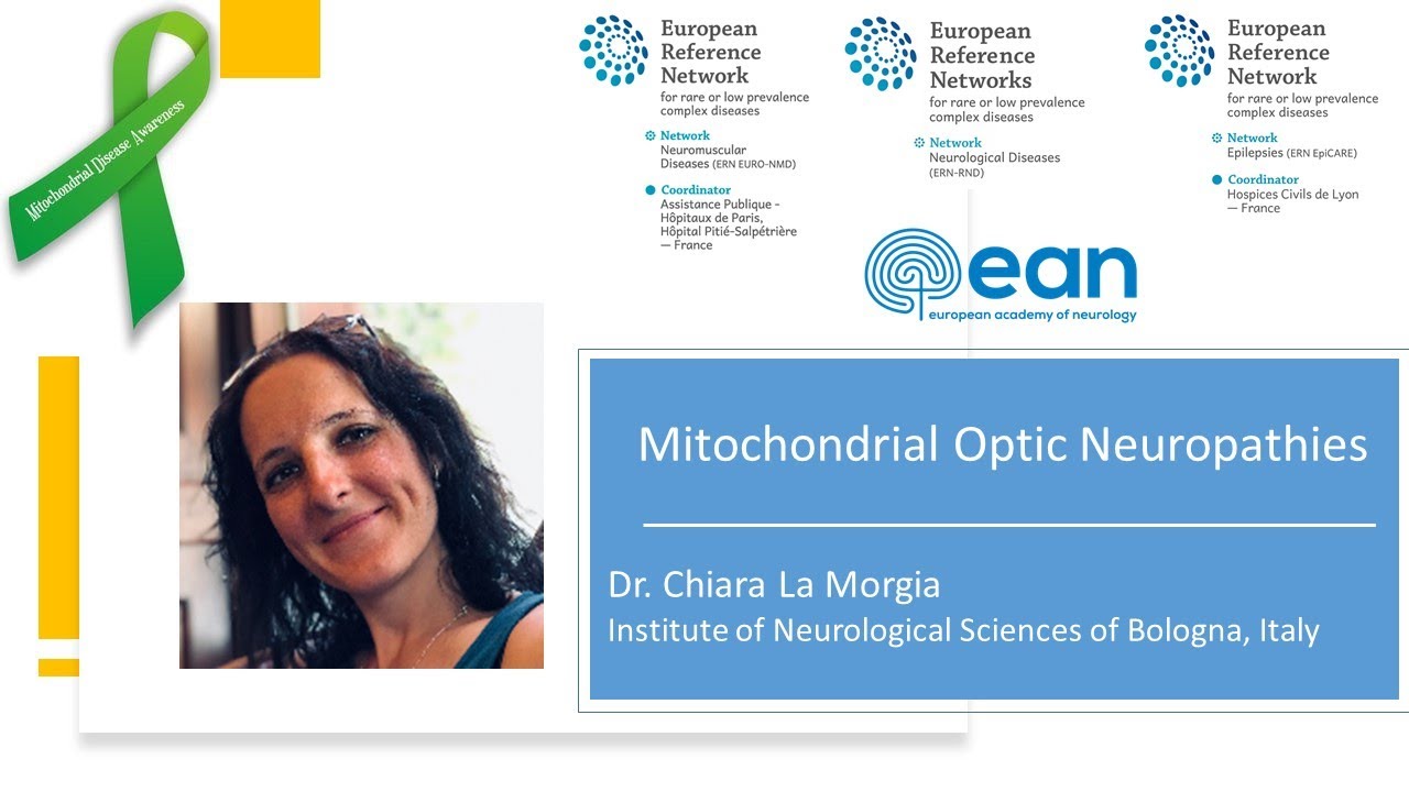 Mitochondrial optic neuropathies