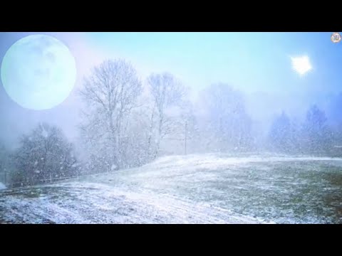 Relaxing Guitar Music for Stress Relief, Calm Guitar Music for Deep Sleep, Study
