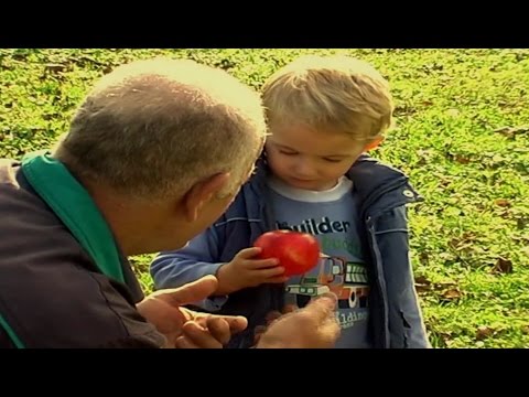 Nezir Muratović BEGE - Dobio sam unuka nejaka • 2017