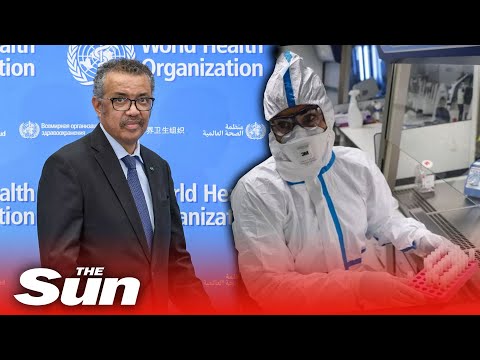 WHOは、キラーバグが114カ国に感染するようにコロナウイルスの大流行は世界的なパンデミックを宣言 (WHO declares Coronavirus outbreak a global pandemic by as killer bug infects 114 countries)