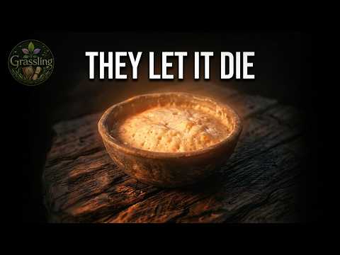 The 1961 Experiment That Killed Real Bread