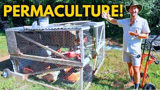 How to Start a Profitable Permaculture Market Farm