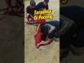 Ritual Tergila ️ Reog Wkb Sikunir Proses Penyembuhan Kesurupan Kuda Lumping Shorts Kesurupan