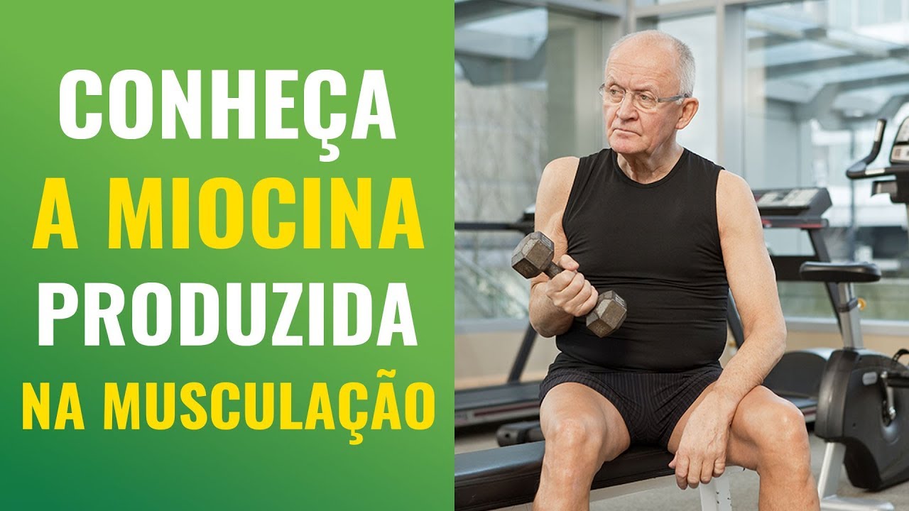 Conheça a poderosa enzima da saúde produzida pela musculação: a MIOCINA