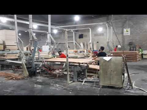 SIZER SQUAD season 7