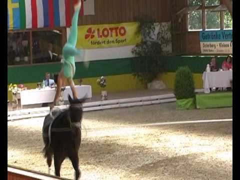 CVI** Krumke 2010 - Einzel