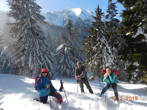 Gura Diham-Cabana DIHAM, Bucegi,17.02.2019