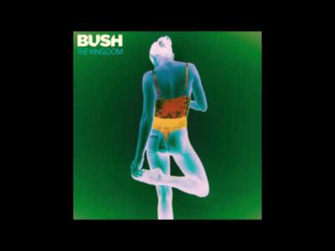 Videoclip de Words Are Not Impediments — Bush