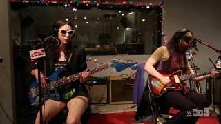 The Ghost of a Saber Tooth Tiger &quot;Animals&quot; on WNYC&#39;s Spinning On Air