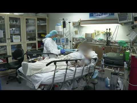 H+H Suspending Visits