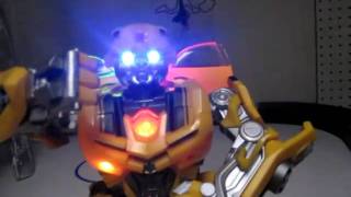 countrylife transdox boondox