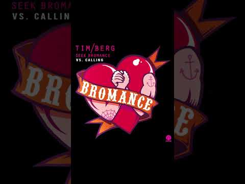 Tim Berg vs. Alesso & Ryan Tedder - Seek Bromance vs. Calling (Lose My Mind) [Alternate Mashup]