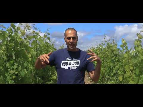 Tomawok - Angers city