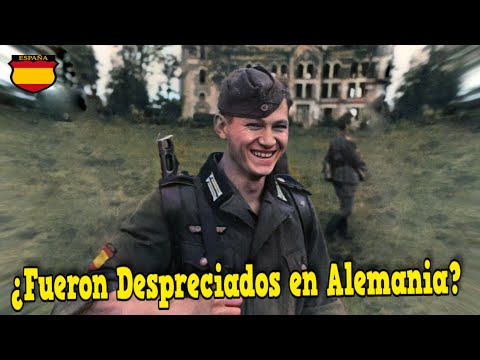 5 Curiosidades sobre la División Azul | Los Soldados Españoles en Rusia