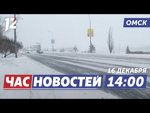 Похолодание / Инициативные проекты / Ёлка желаний. Новости Омска