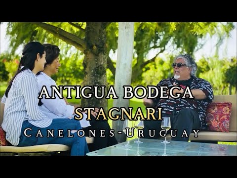 Antigua Bodega Stagnari Uruguay entre viñas