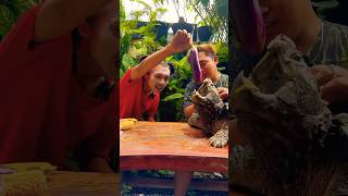 Download lagu Mak Laper Turtle ISOGU @galuhcuisine mp3 Download lagu Mak Laper Turtle ISOGU @galuhcuisine mp3