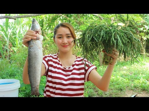 Yummy Water Mimosa Lake Fish Recipe - Water Mimosa Cooking With Fish - Cooking With Sros Video