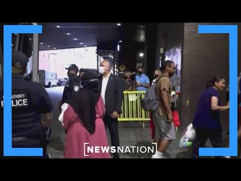 New Yorkers are feeling displaced by influx of migrants: New York councilwoman | NewsNation Live