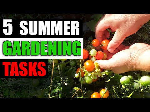 How To Grow Rosemary From Cuttings Two Ways BOTH Easy