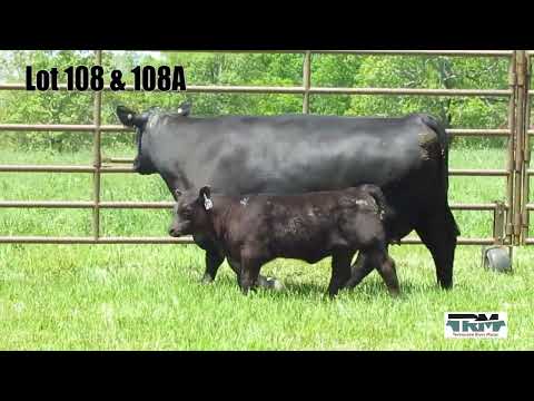 Lot 108 & 108A