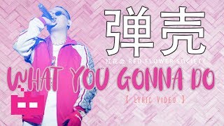 弹壳 - What you gonna do【 LYRIC VIDEO 】