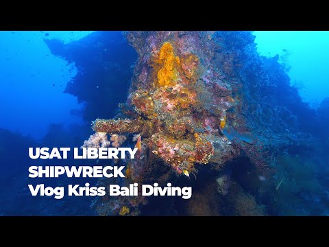 3 Dives at Famous USAT Liberty in Tulamben, Including Night Dive