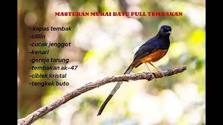 Download lagu Masteran murai batu full tembakan kasar , full 1 jam tanpa iklan materi mewah,#birds #masteranburung mp3 Download lagu Masteran murai batu full tembakan kasar , full 1 jam tanpa iklan materi mewah,#birds #masteranburung mp3
