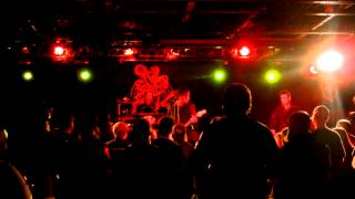 Caroline&#39;s Spine Wallflower