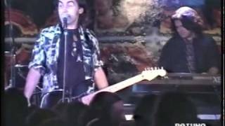 Ligabue live-Ancora in piedi