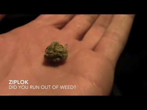 Ziplok - Did You Run Out Of Weed? - [Official Music Video]