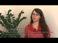 TV3 2013 08 18