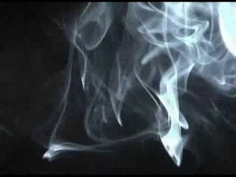 Protest (gościnnie: Bas Tajpan, Gutek)