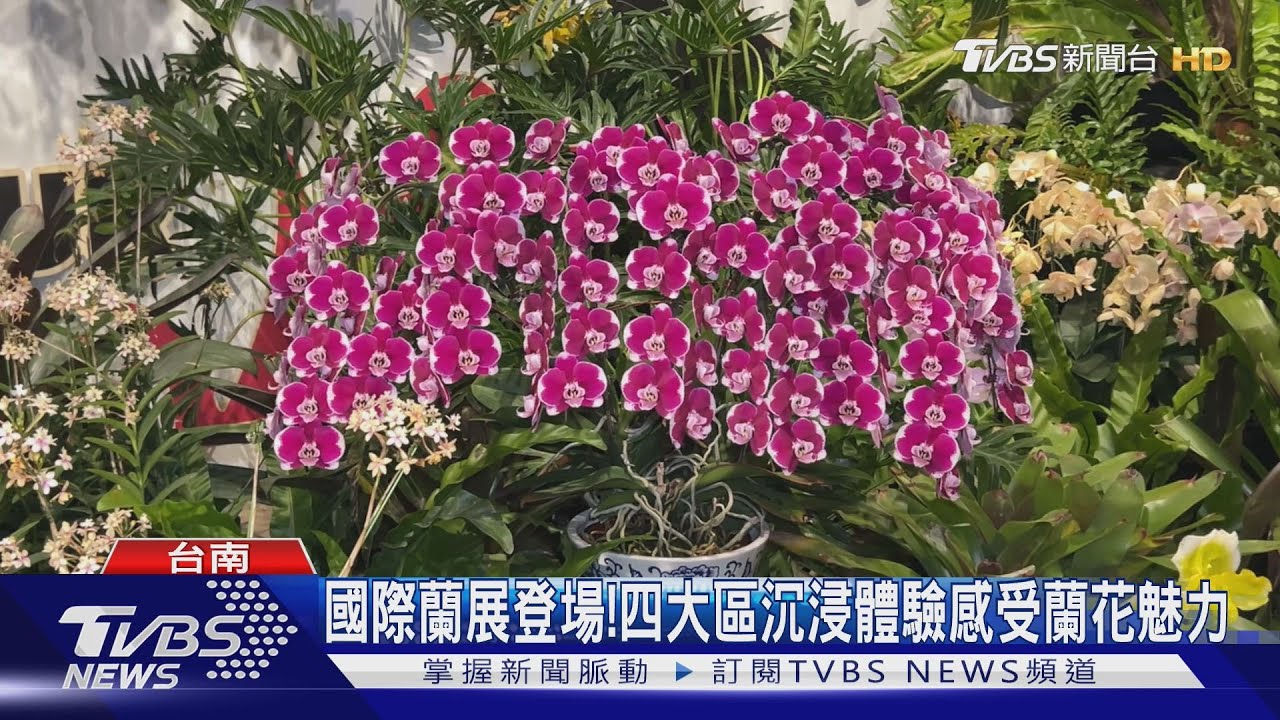 國際蘭展登場!4大區亮點 藝術總監帶你一次看